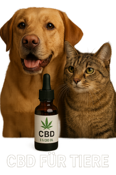 CBD für Tiere – speziell entwickelte CBD-Produkte für Haustiere